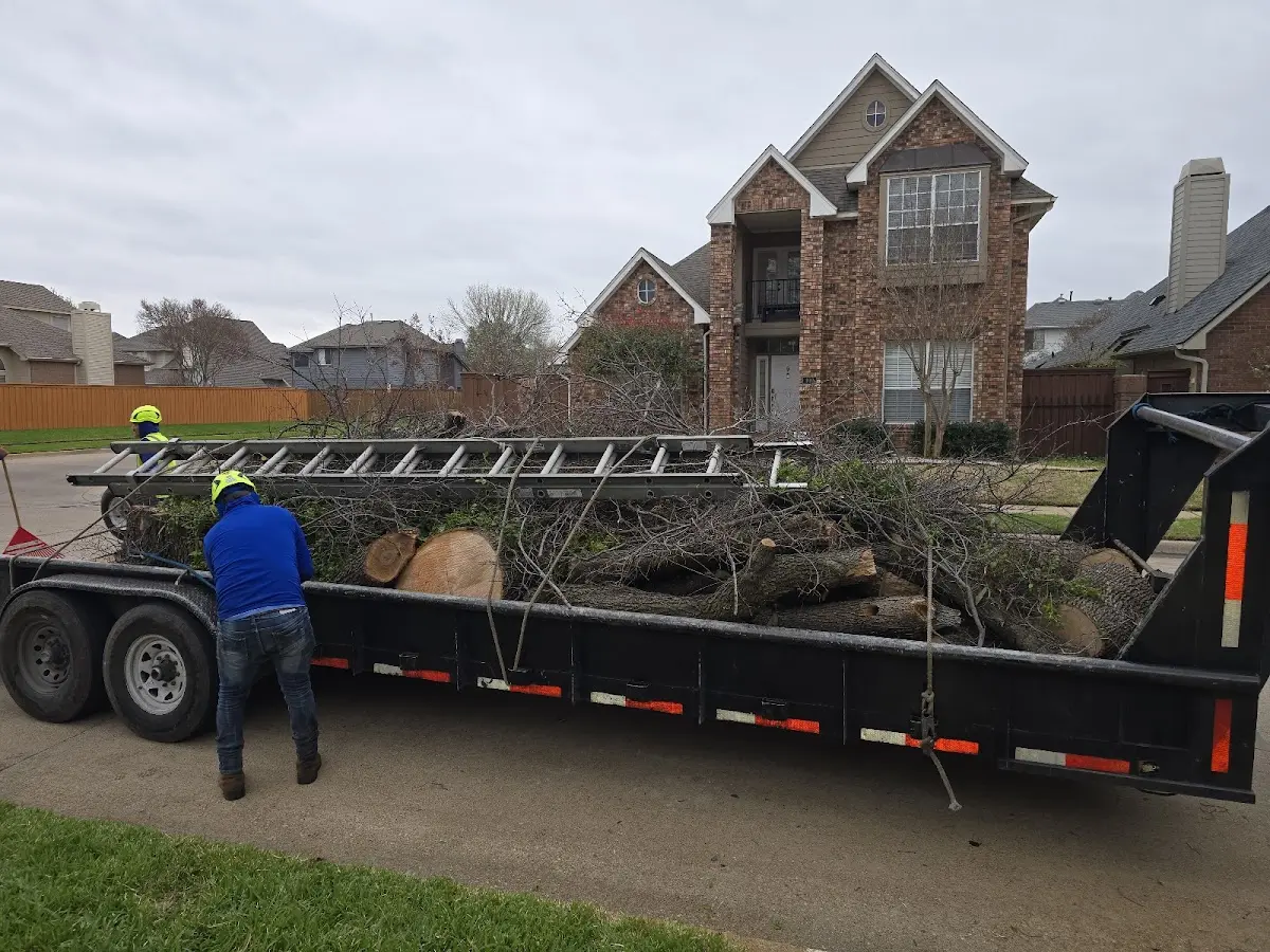 Expert Tree Removal with proper safety equipment in Long Bottom